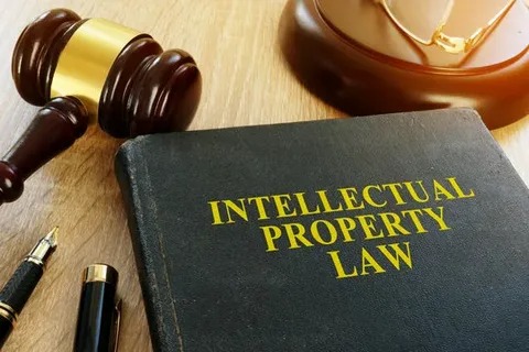 Intellectual Property Rights